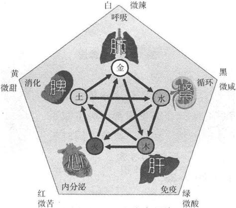 按摩五行|推拿按摩属于五行的哪一类